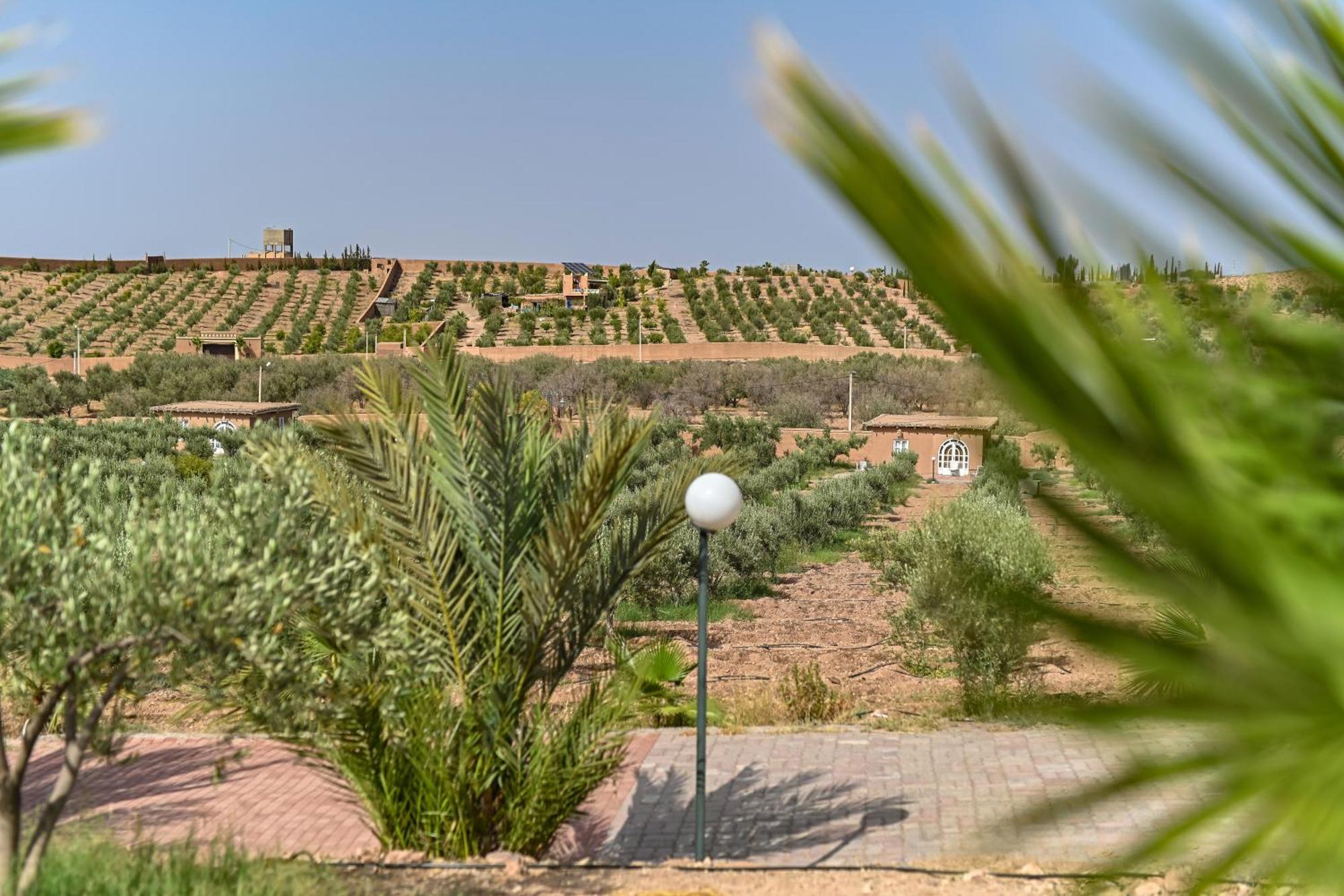 Отель Le Parc Des Oliviers Hrabil Saada Экстерьер фото